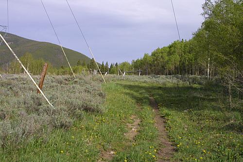 Loading Power Lines